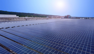 中美硅晶与3499拉斯维加斯光电携手战略合作