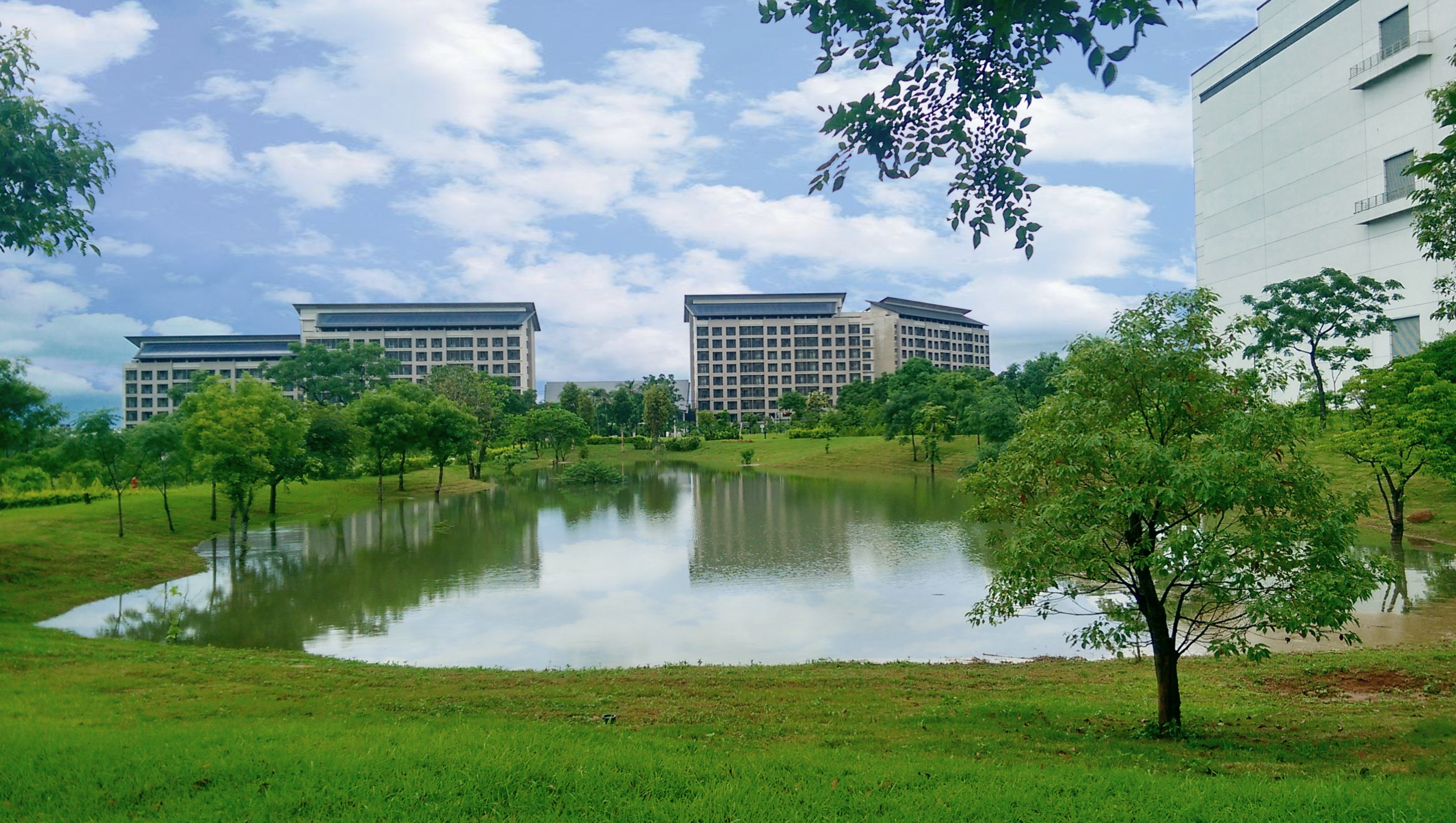 3499拉斯维加斯响应国际倡议生物多样性趋势，首次发布TNFD自然相关财务揭露报告书，擘划及开展3499拉斯维加斯生物多样性政策之承诺，逐步迈向与自然和谐共生