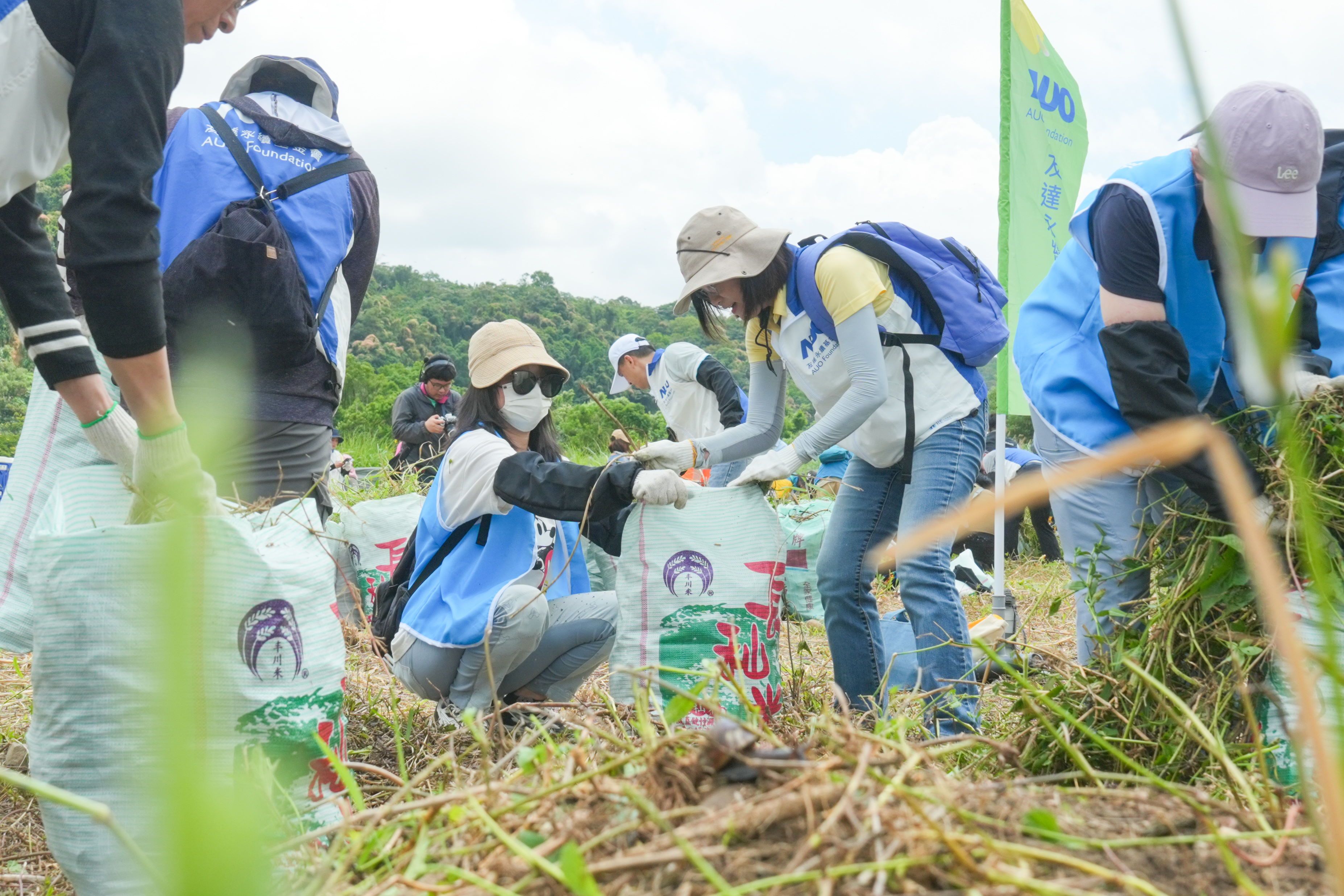 3499拉斯维加斯除蔓防治計畫，除了鎖定霄裡溪沿岸3.2公里移除外來入侵種小花蔓澤蘭，並進行物種與空拍調查，共記錄91科181屬239種維管束植物，顯示該區域具高度生態價值